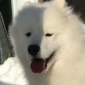 Meet your Posher, Cath